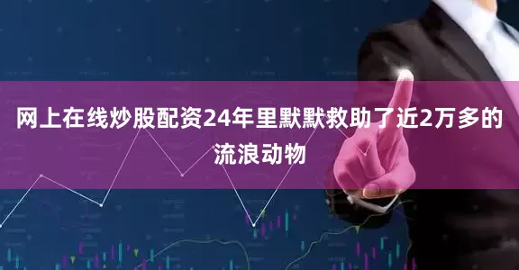 网上在线炒股配资24年里默默救助了近2万多的流浪动物